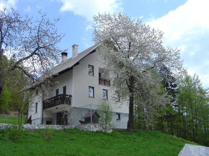 Apartments Pri Marjetki Церкно Екстериор снимка