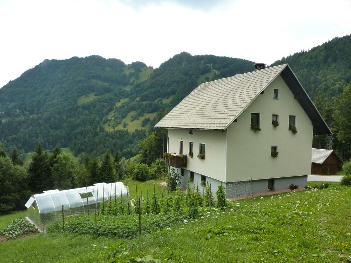 Apartments Pri Marjetki Церкно Екстериор снимка